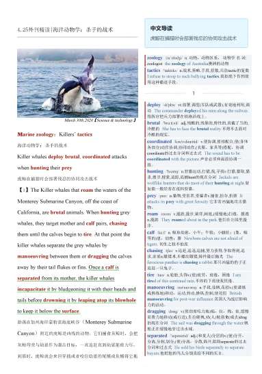 考研四六级英语杂志经济学人双语精读TE-2024-4-25期|海洋动物学：杀手的战术（PDF版+Word版+MP3）