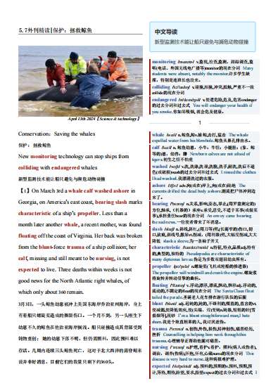 考研四六级英语杂志经济学人双语精读TE-2024-5-7期|保护：拯救鲸鱼（PDF版+Word版+MP3）